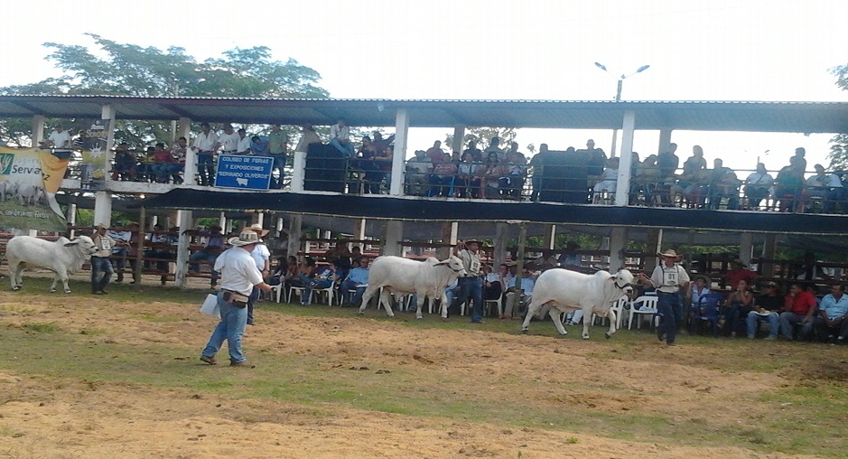 Comité de Ganaderos de Purificación